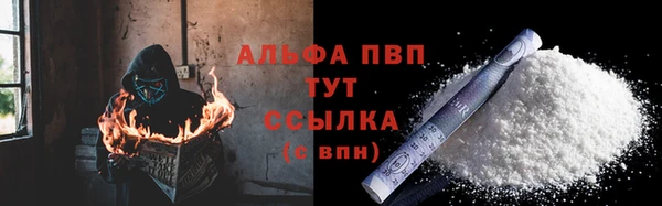 сатива Магас