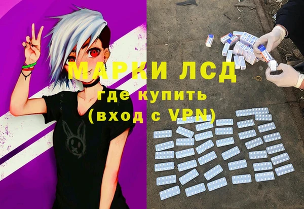 сатива Медногорск