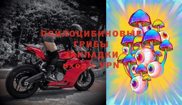 сатива Магас