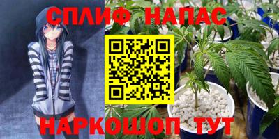 прущие грибы Гусиноозёрск