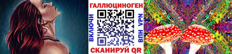 ссылка на мегу маркетплейс  Ишим  Галлюциногенные грибы Psilocybe 