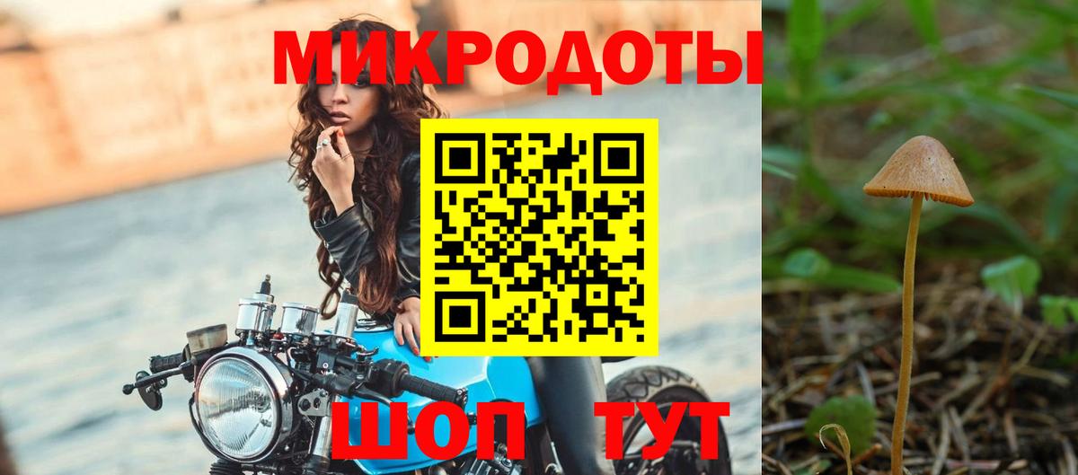 Псилоцибиновые грибы Cubensis Ишим
