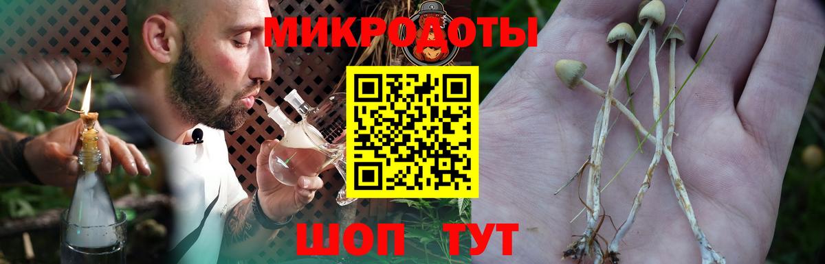 Ишим  Галлюциногенные грибы Magic Shrooms  Вход с VPN 
